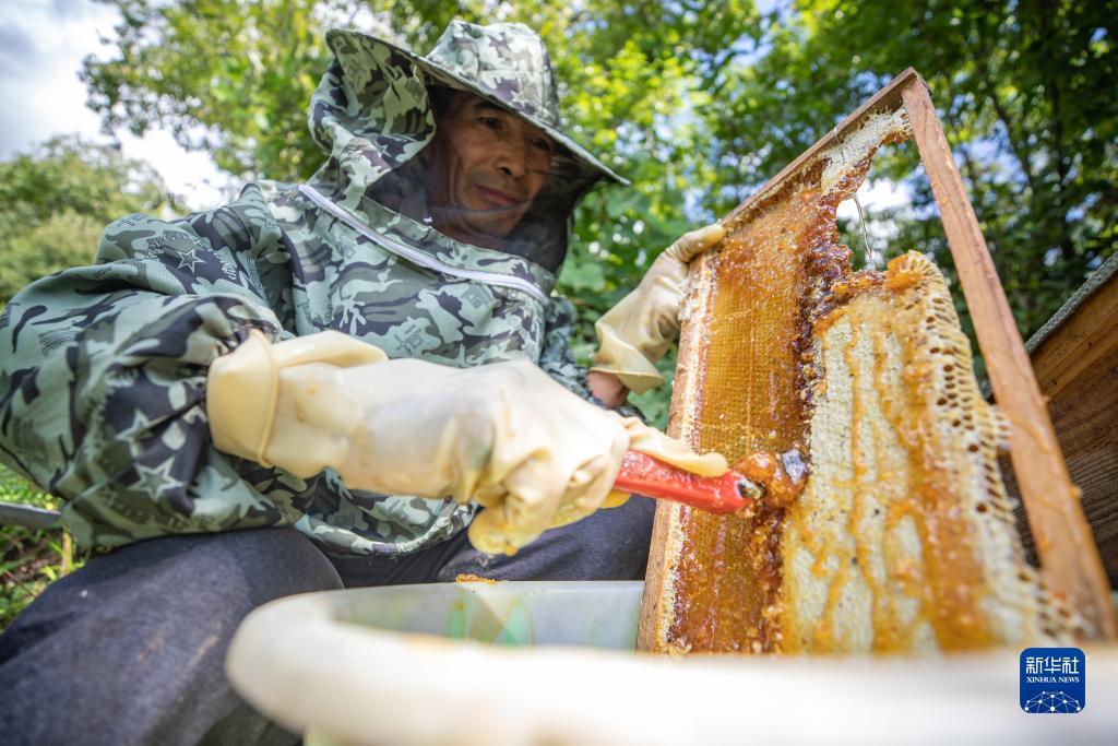诚博国际客户端下载